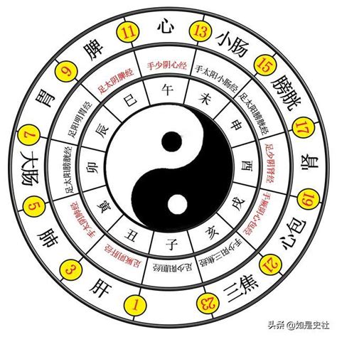 兩儀八卦圖|太極、兩儀、四象、八卦分別是什麼意思？他們之間又。